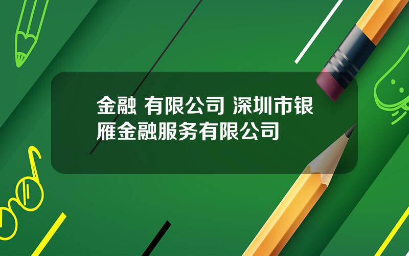 金融 有限公司 深圳市银雁金融服务有限公司
